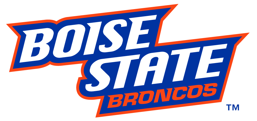 Boise State Broncos 2012-2013 Wordmark Logo v3 iron on transfers for clothing